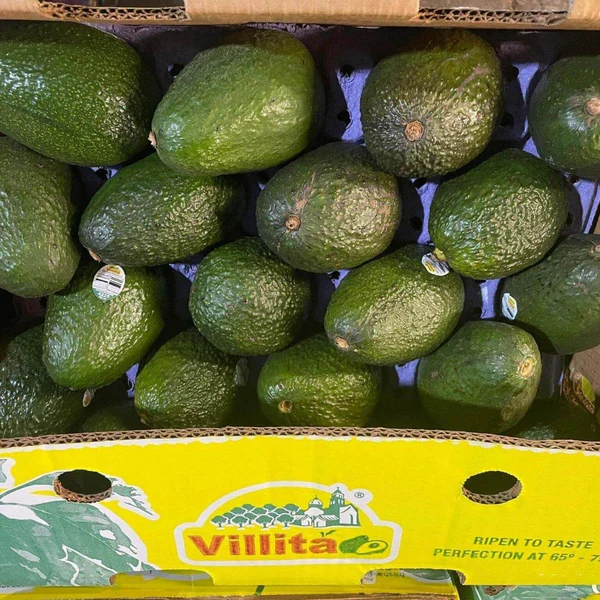Bulk Avocado Pack