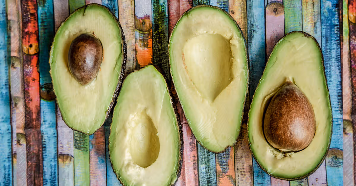 Avocado Segar